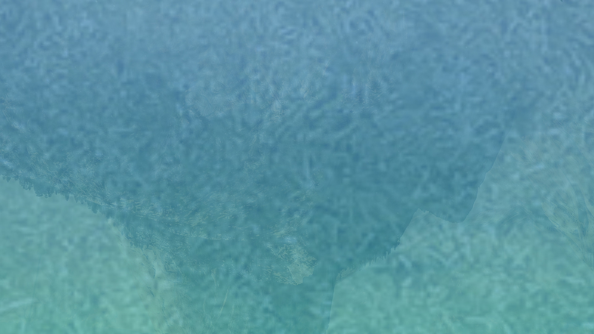 CC在线压力测试