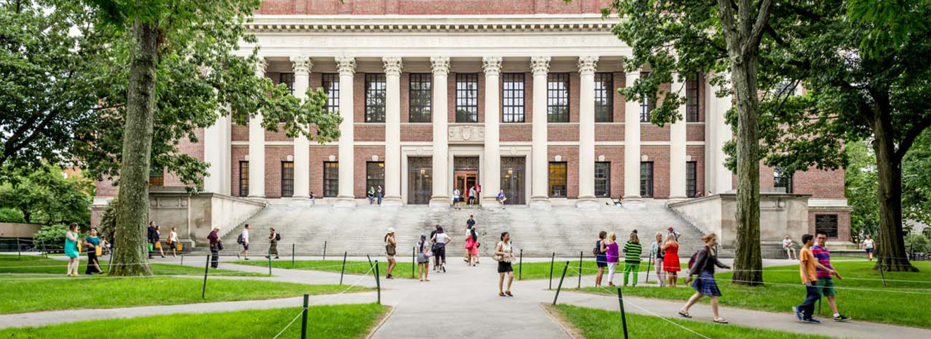 可爱的网站攻击软件